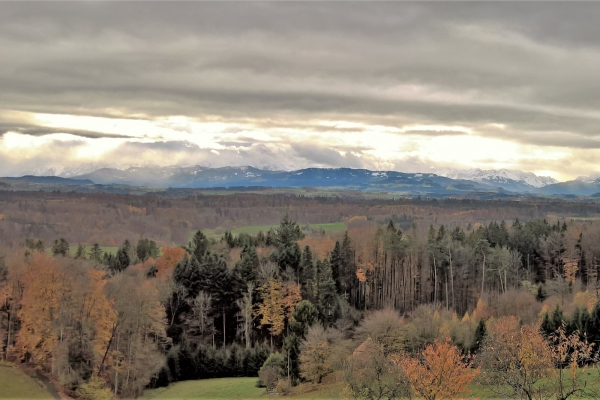 Direction Berne, le long du Gäbelbach