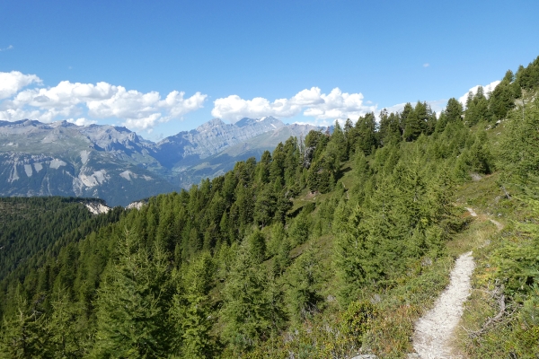 Einen Blick in den Illgraben werfen