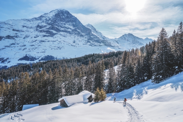 Vue sur l’Eiger et le Wetterhorn BE