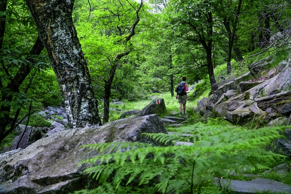 Hoch über dem Valle Maggia