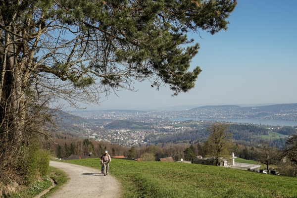 Wo Zürich an die Innerschweiz grenzt