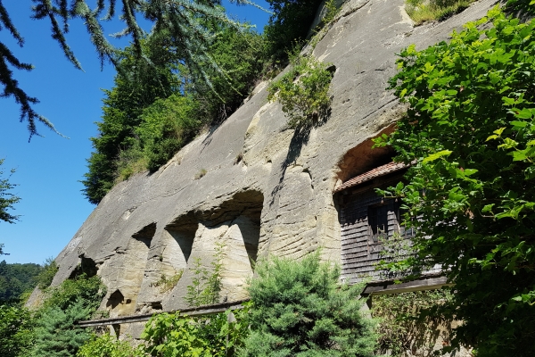 6. Natur, Kultur und Baukunst rund um Freiburg im Üechtland