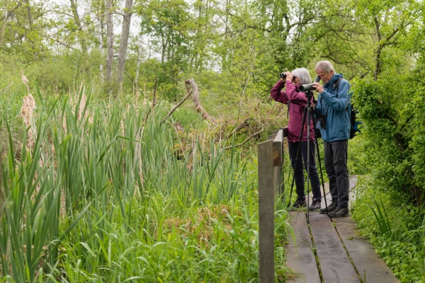 Neue Natur im Seebachtal