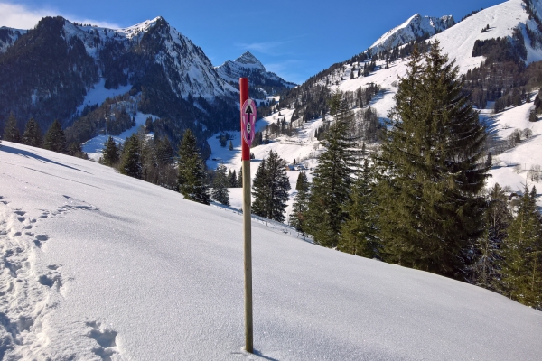 Einsamer Wintertag im Greyerzerland