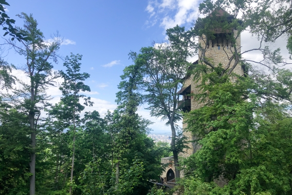 Les trois châteaux du district de Dorneck