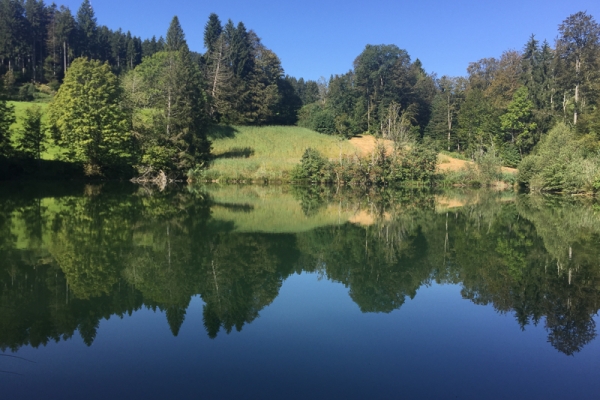 A la découverte de l’Oberland zurichois