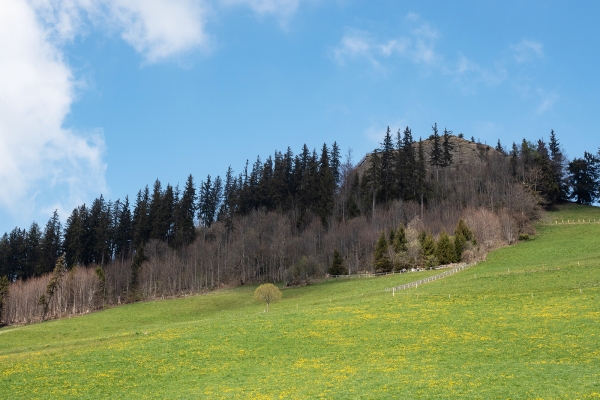 Die Schafscheid von Riffenmatt