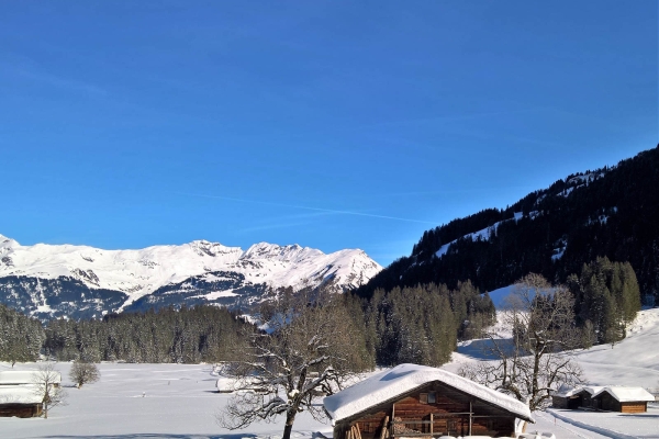 Auf weissen Wegen zur Schwarzwaldalp BE