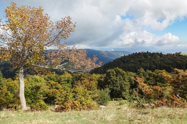 Une escapade au Mont Sujet 