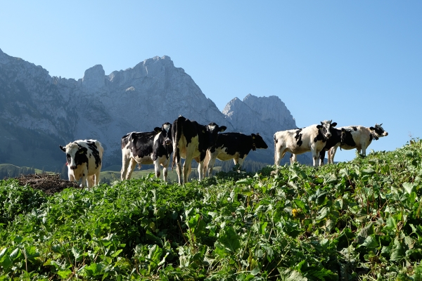 Hochmatt et vallée de la Jogne