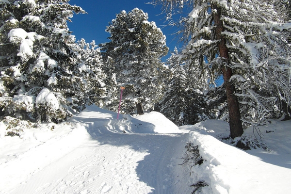 Frisch verschneite Riederalp