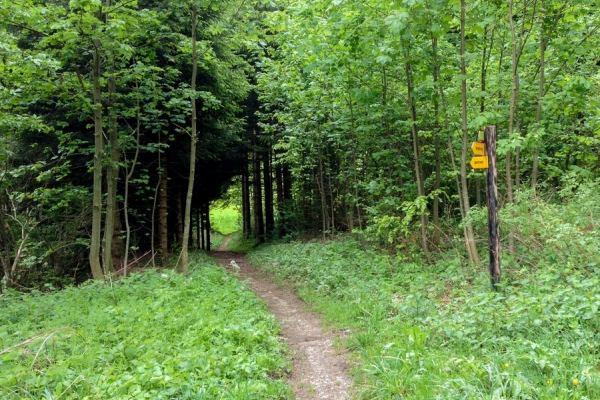 Auf dem Freiburger Voralpenweg