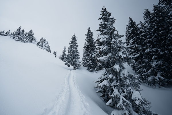 Winterwunderland oberhalb des Walensees