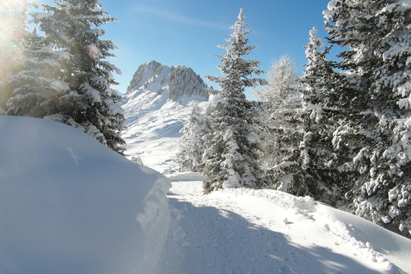 Frisch verschneite Riederalp