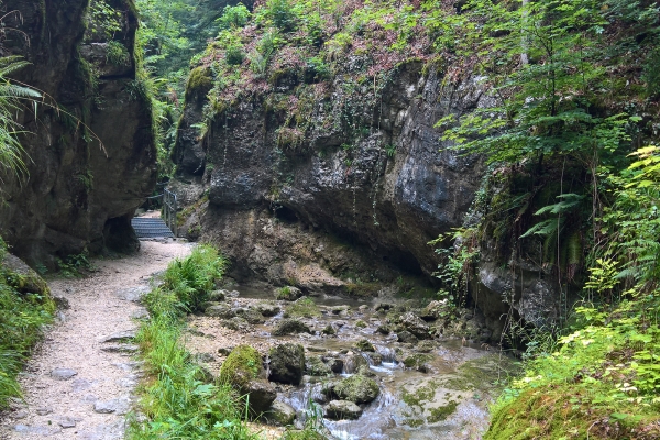 Boucle de randonnée dans le Jura soleurois