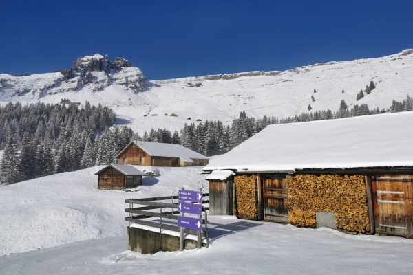 Am Sonnenhang von Grindelwald