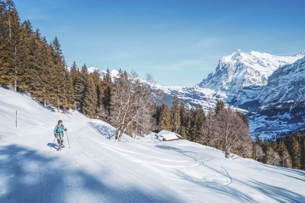 Eiger und Wetterhorn im Blick BE