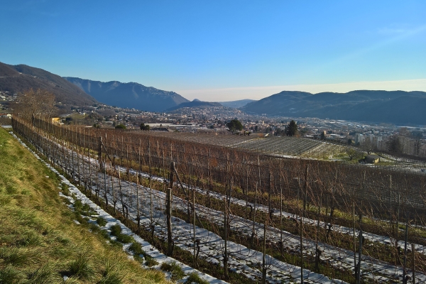 Da Mendrisio attraverso le Gole della Breggia