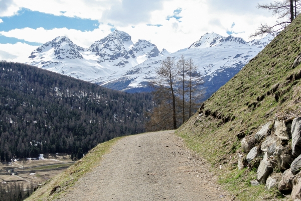 Speed-Hiking in Pontresina GR