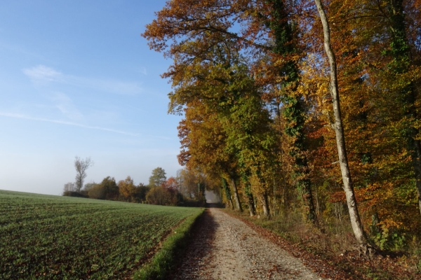 Grenzwandern in Schaffhausen