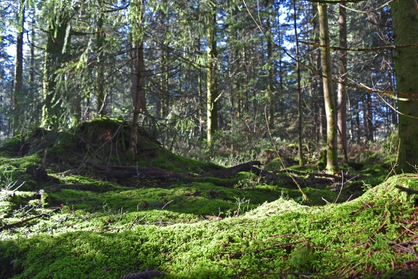 Was das Entlebuch hergibt