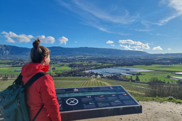 Promenade dans la campagne genevoise