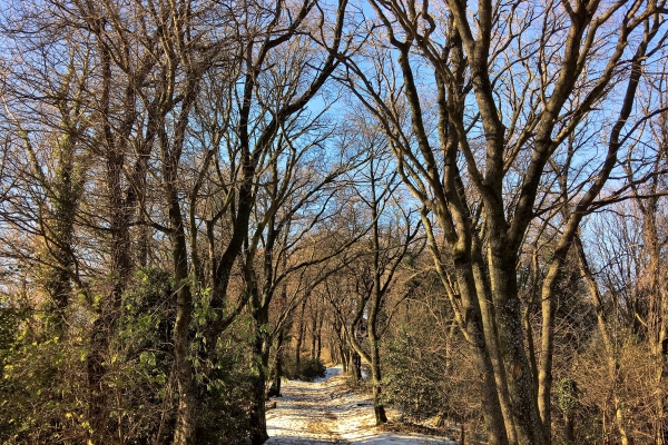 L’hiver dans le val Muggio