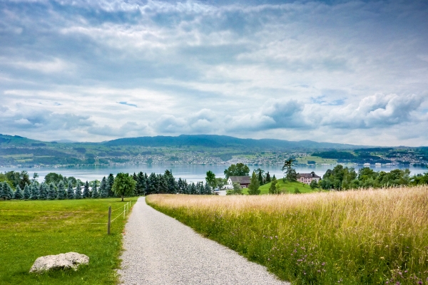 Sur les hauteurs du lac de Zurich