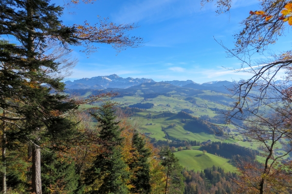 Vue sur le Säntis depuis le Neckertal