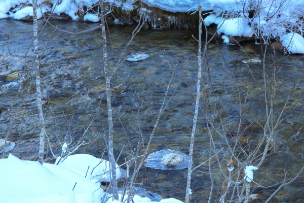 Schneeschuhtour entlang der Göschenerreuss