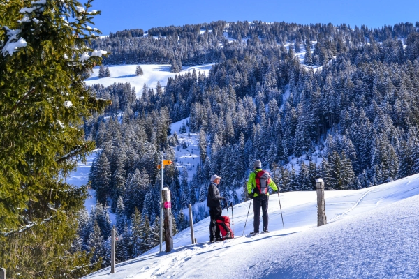 Das Stockhorn im Blick BE