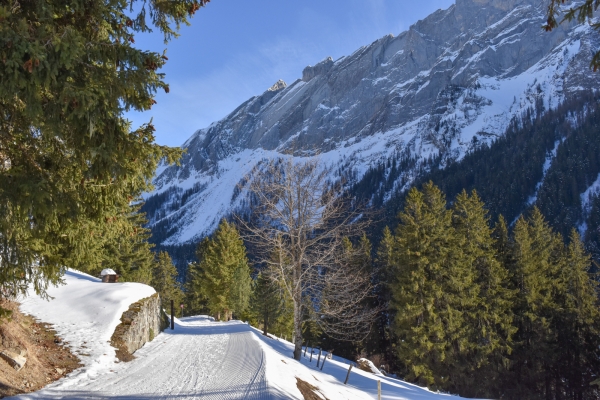 Auf die verschneite Alp Solalex