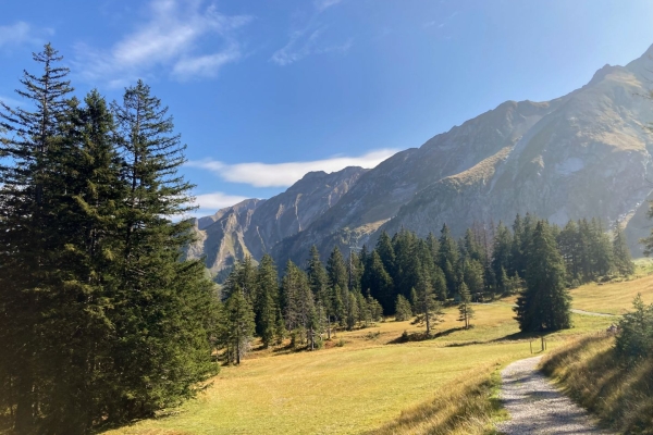 Wanderung durch die Moore der UNESCO Biosphäre Entlebuch