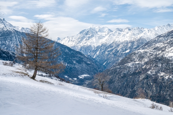 Auf Schneeschuhen über dem Vispertal