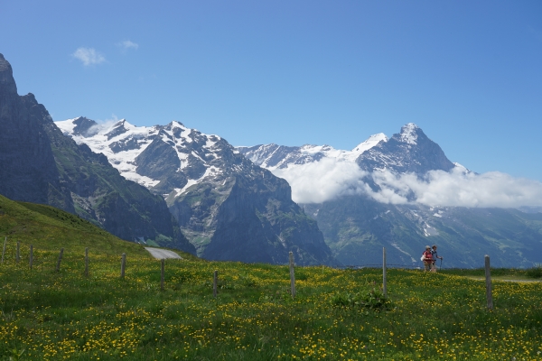 Panoramaweg zur Grossen Scheidegg