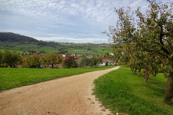 Dans le parc naturel du Jura argovien