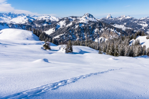 Gastlichkeit in Hoch Ybrig