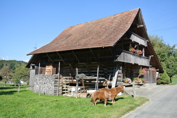 Destination: la ville des bords de l’Emme