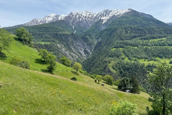 Selves de châtaigniers et pont suspendu