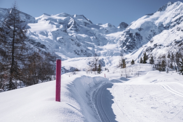 Einzigartiger Morteratschgletscher