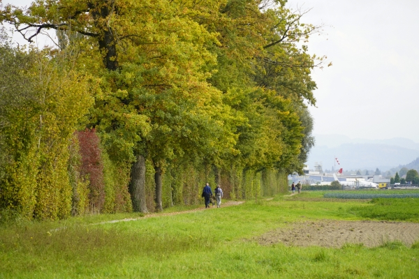 Familienwanderung bei Bern