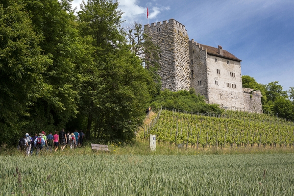 Da Habsburg al castello di Wildegg