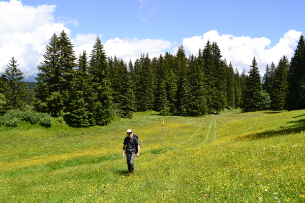 Unterwegs am Furner Berg im Prättigau