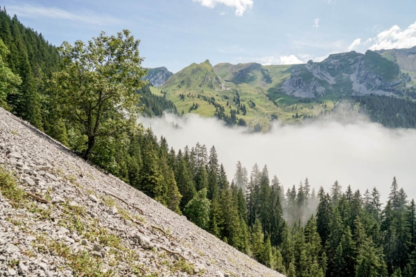 Aussichtsreich vom Kraft- zum Tourismusort