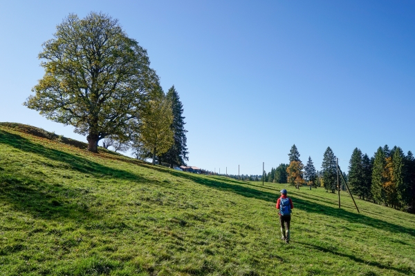 Durch die vielfältigen östlichen Freiberge