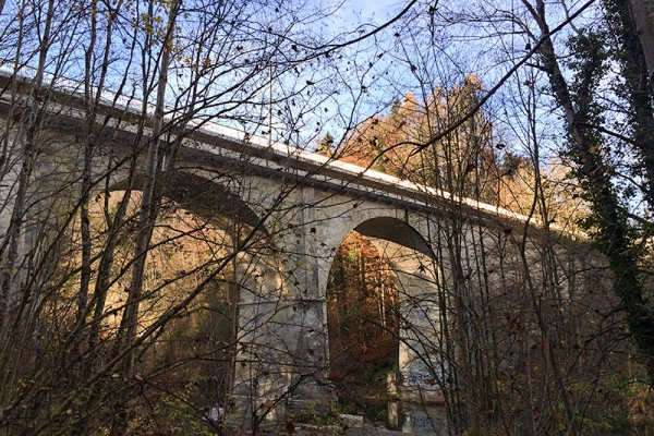 Sur le chemin des ponts de Saint-Gall