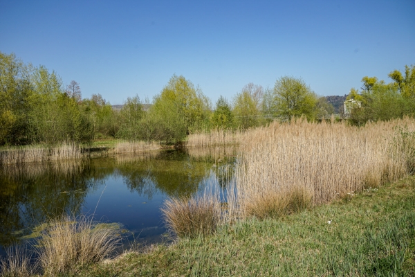 Wo Zürich an die Innerschweiz grenzt