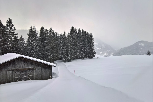 Höhenwege in der Surselva