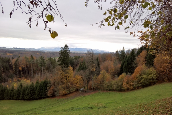 Dem Gäbelbach entlang nach Bern