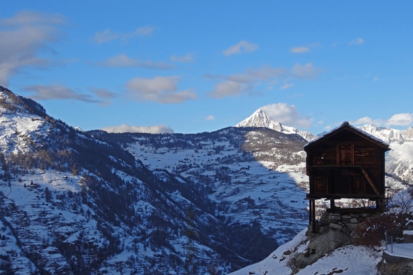 Attraverso i boschi innevati di Grächen